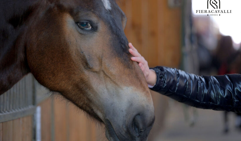 fieracavalli 2026