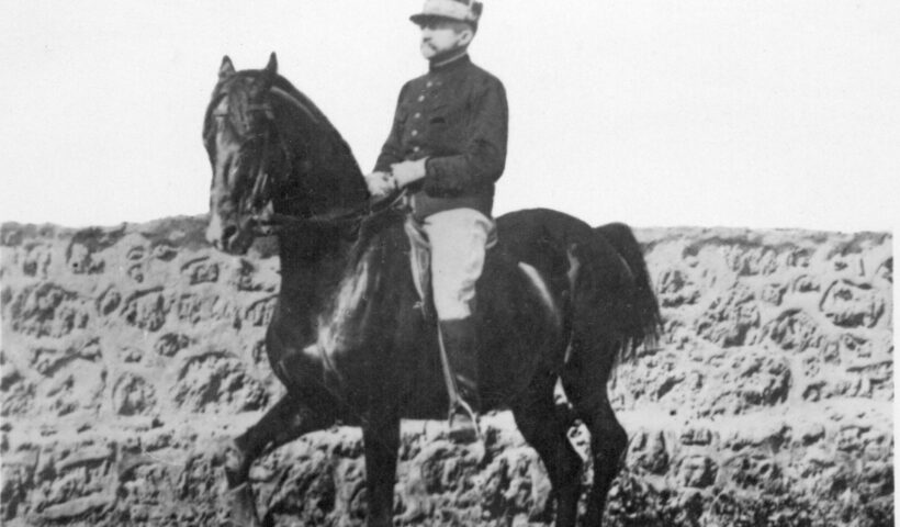 perché il cavallo agita la coda