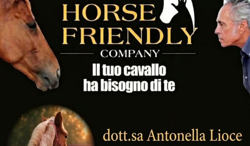 fieracavalli horse friendly